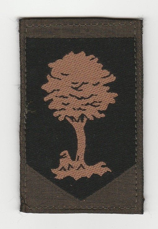 Embleem Opleidings- en Trainingscommando KL (GVT, Gevechts T, Verzenden, Landmacht, Nederland, Embleem of Badge