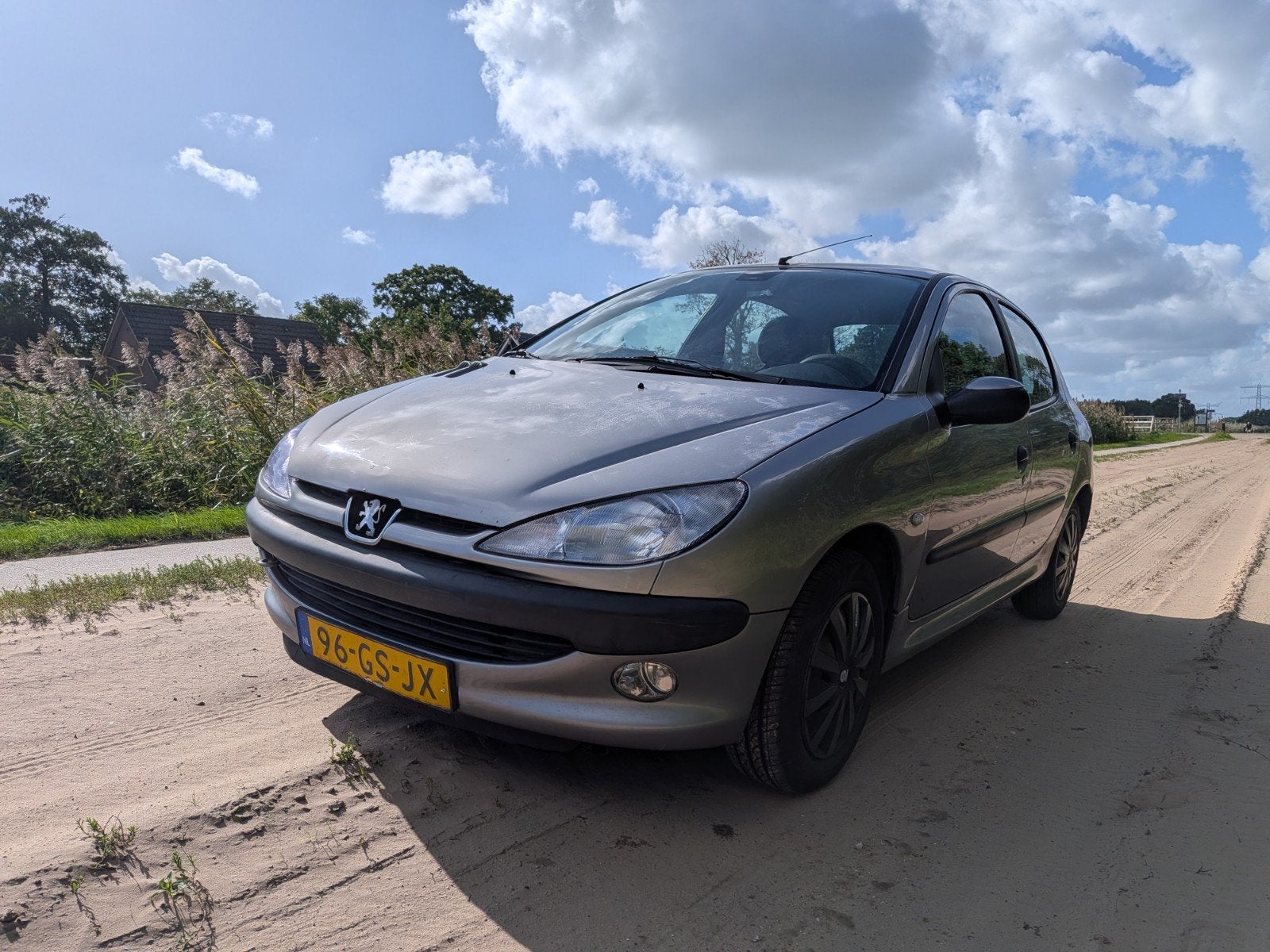 Peugeot 206 1.4  2001 Grijs, nieuwe apk, Ophalen, Nieuw, Peugeot, Motorkap