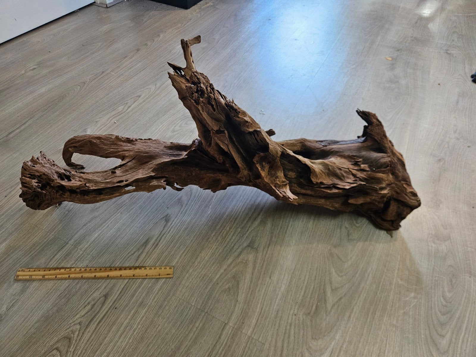 Prachtig stuk kienhoutdriftwood 125cm, Ophalen of Verzenden, Plant(en), Steen of Hout