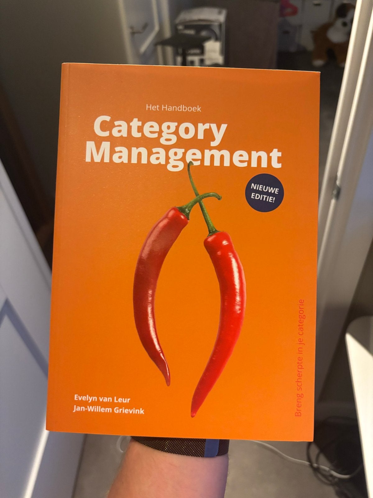 Het Handboek Category Management - Nieuwe Editie, Boeken, Ophalen of Verzenden, Zo goed als nieuw, Nederland