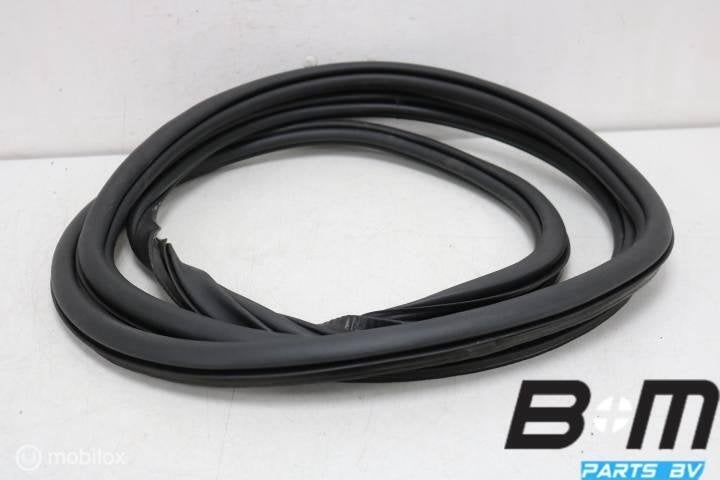 Portierrubber linksachter VW Tiguan 5NA 5NA867913B, Gebruikt