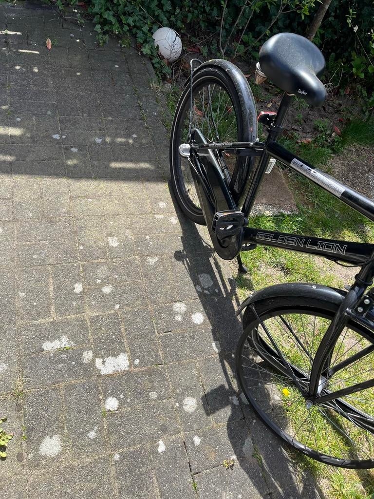 Golden Lion transportfiets met voordrager, Overige merken, Terugtraprem, Versnellingen, Ophalen of Verzenden