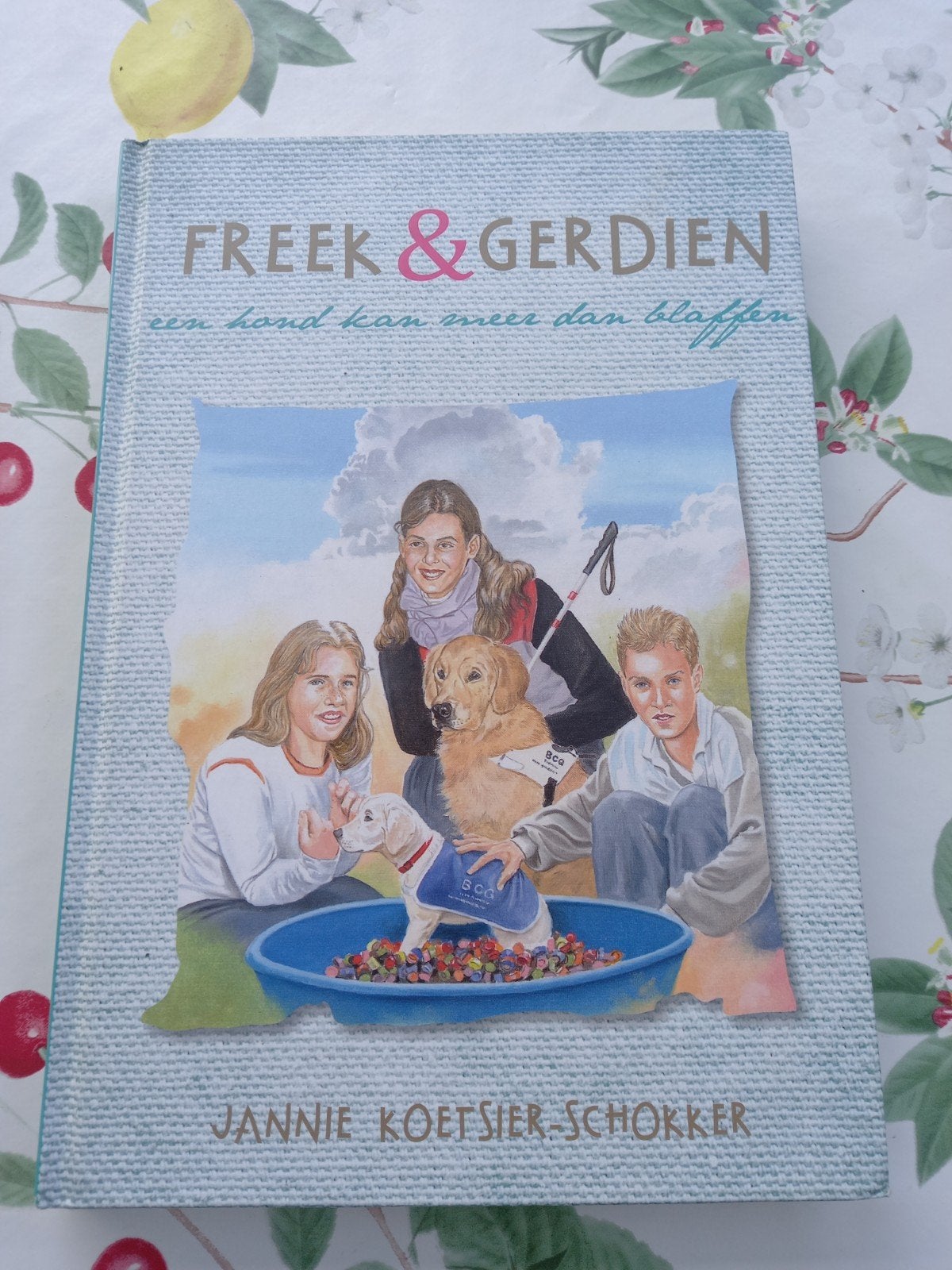 B Jannie Koetsier-Schokker - Een hond kan meer dan blaffen, Fictie algemeen, Ophalen of Verzenden, Jannie Koetsier-Schokker, Zo goed als nieuw
