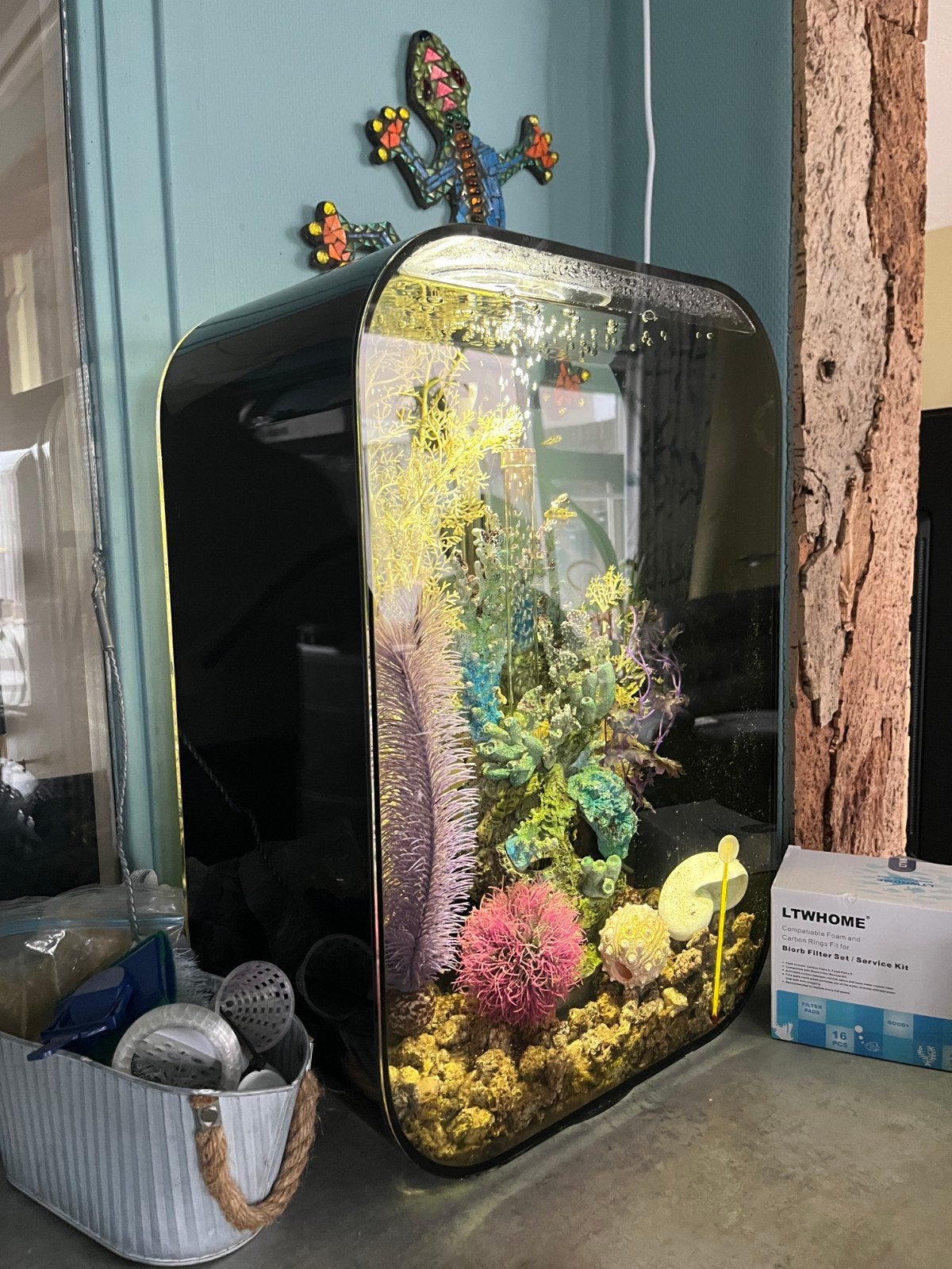 biOrb Life 60 liter aquarium en 3 dwergkogelvisjes., Ophalen, Inclusief toebehoren, Zo goed als nieuw