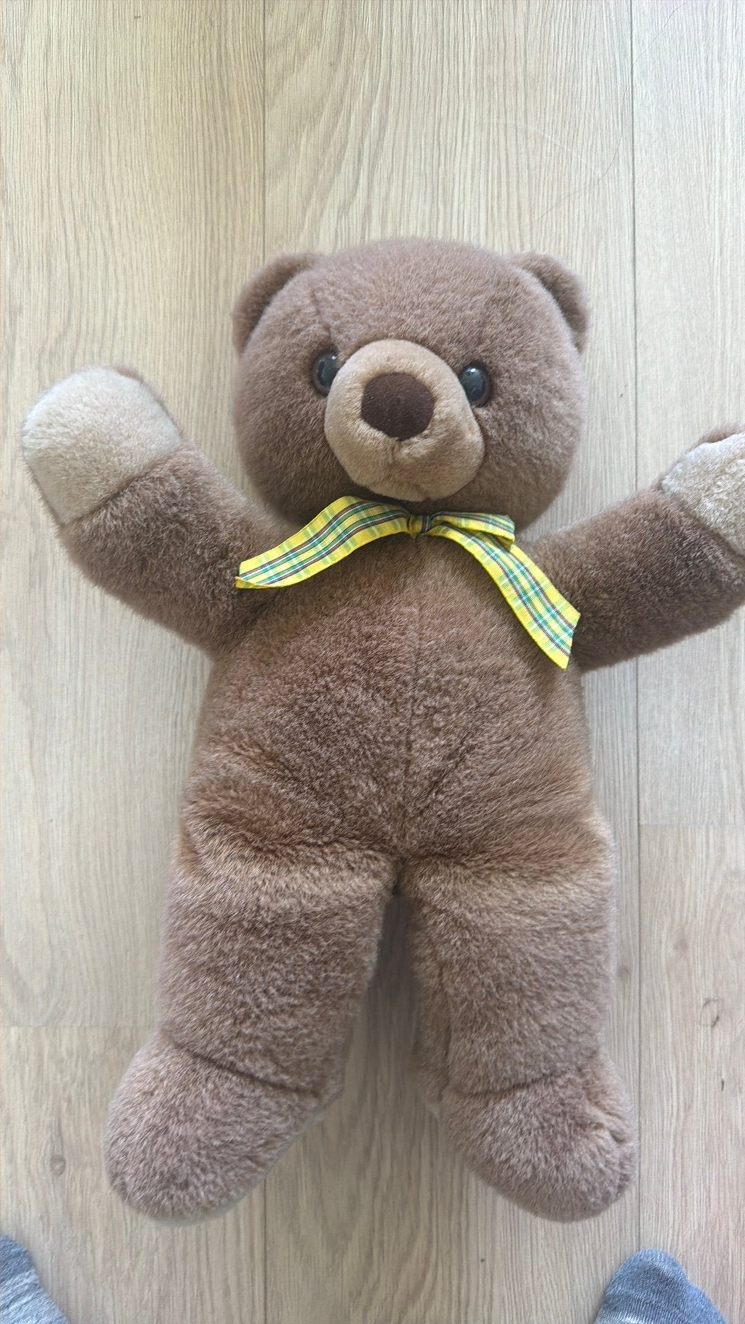 Teddybeer, Ophalen, Zo goed als nieuw, Stoffen beer, Overige merken