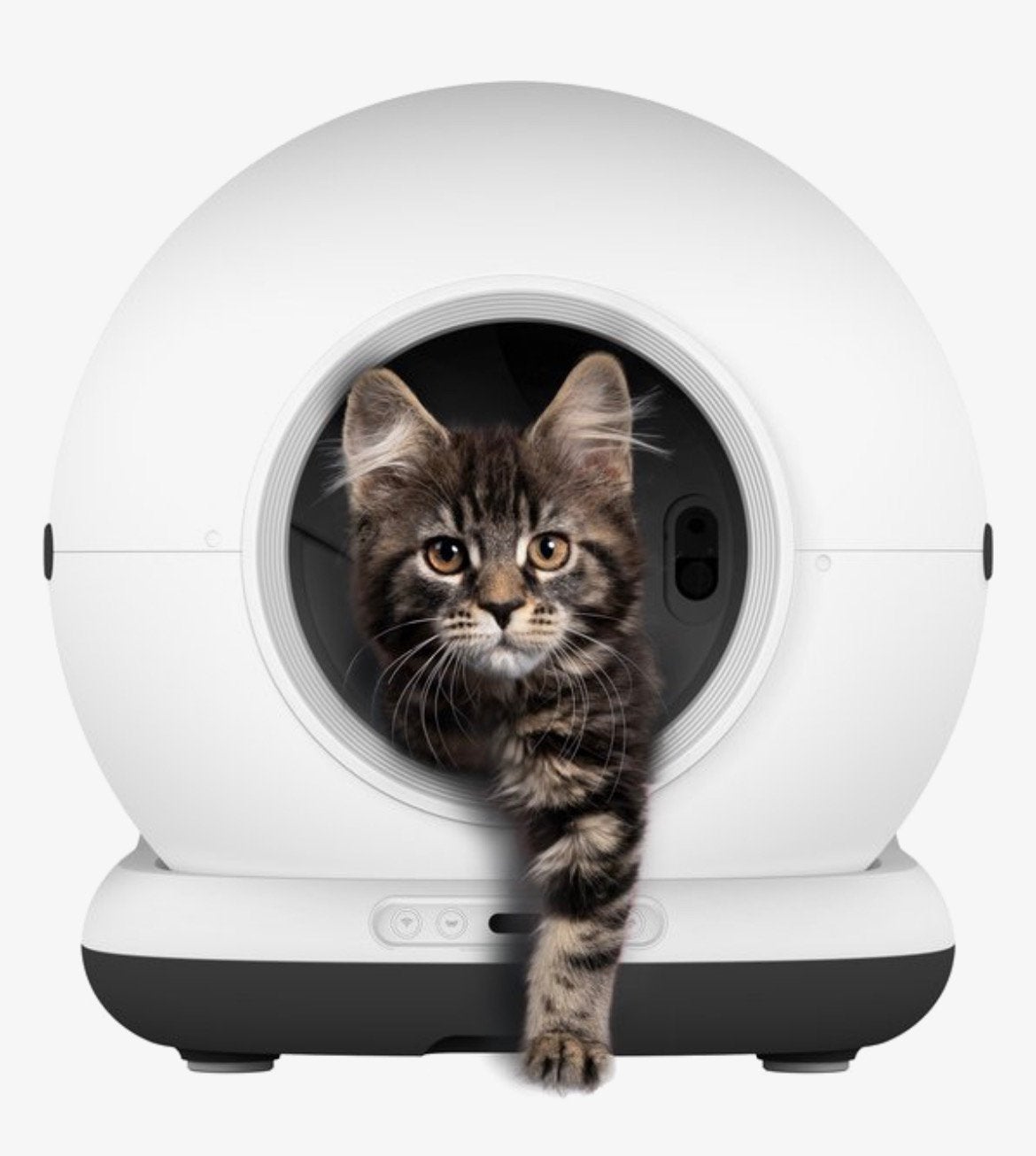 Zelfreinigende automatische kattenbak met sensor en app, Ophalen, Zo goed als nieuw