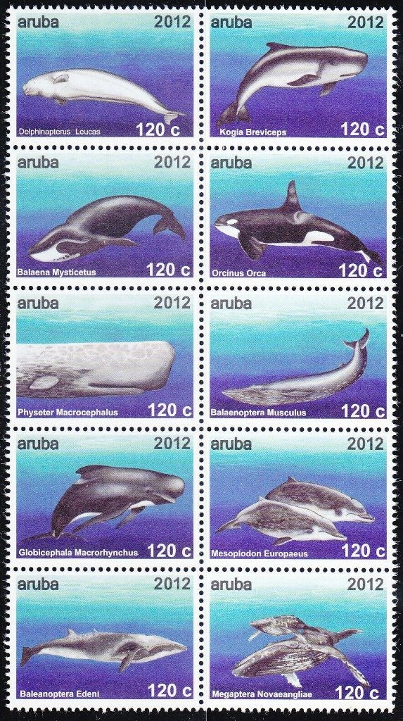Aruba 2012 Walvis potvis dolfijn bruinvis zoogdier postfris, Ophalen of Verzenden, Postfris