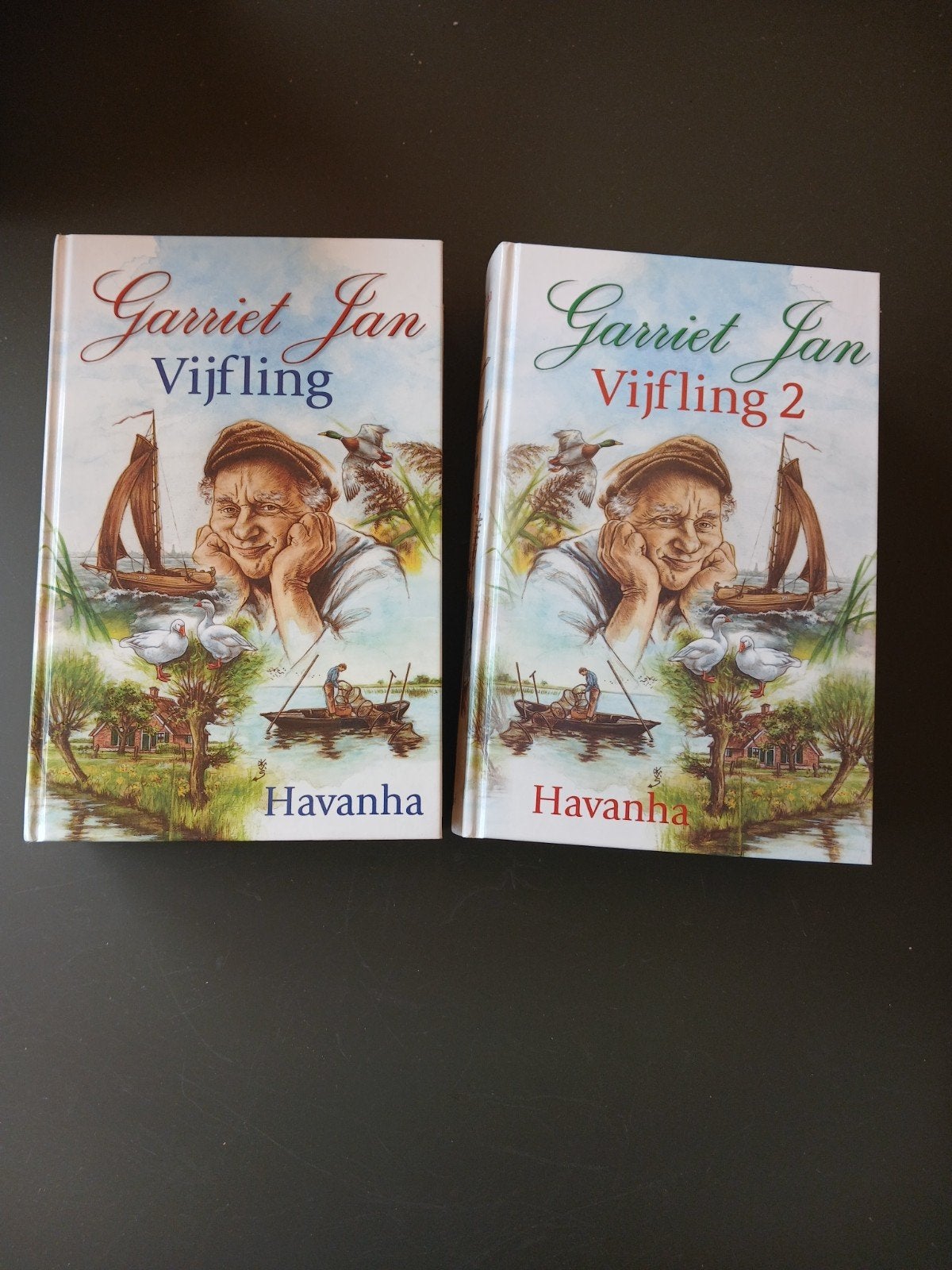 Garriet Jan Vijfling 1 & 2 - H. van Heerde (HAVANHA), Boeken, Ophalen of Verzenden, Zo goed als nieuw, H. van Heerde (HAVANHA)
