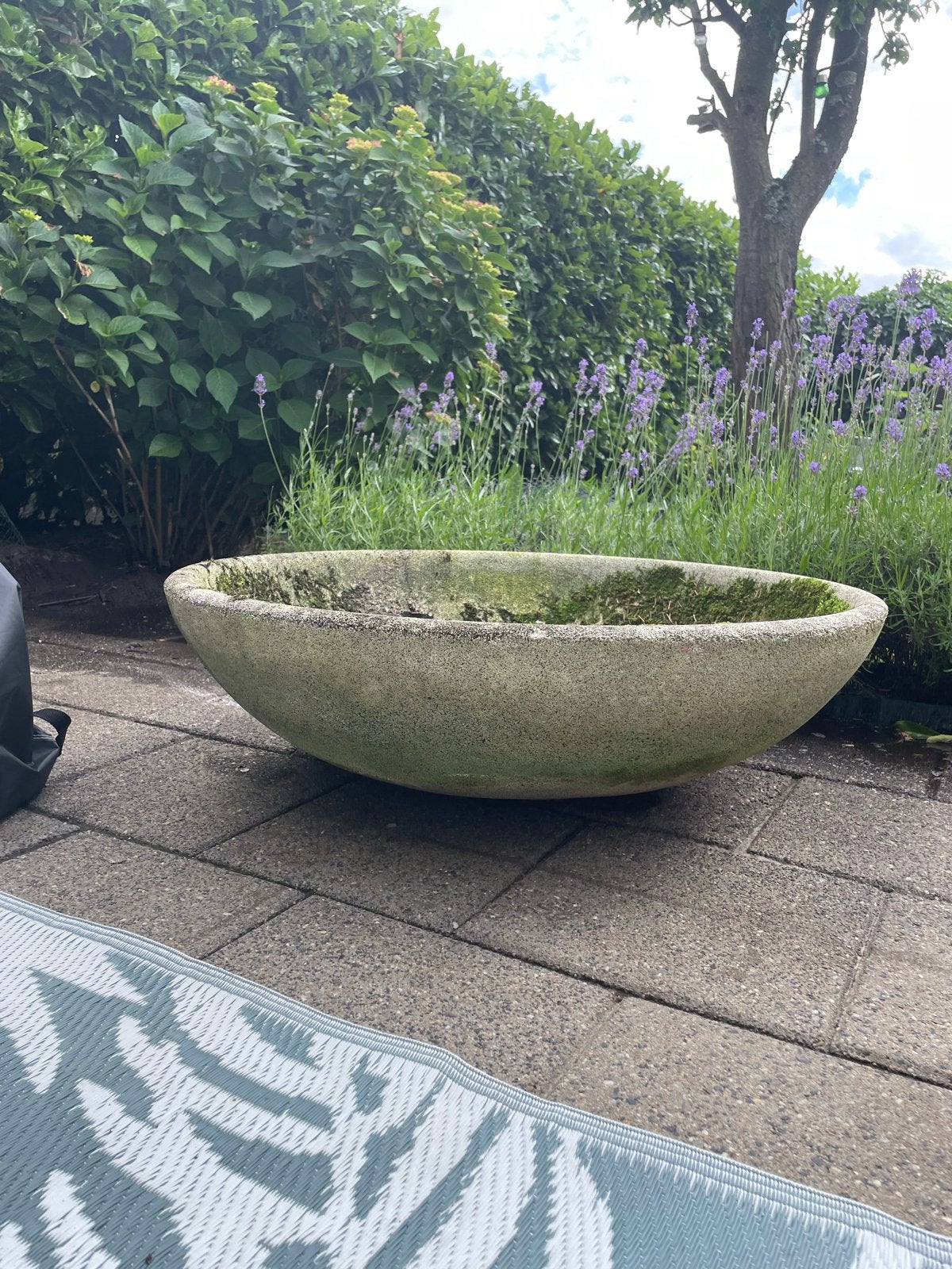 Grote betonnen plantenschaal voor tuin of terras, Tuin en Terras, Ophalen, Gebruikt, Balkon, 40 cm of meer