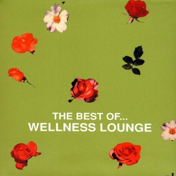 Wellness Lounge, Cd's en Dvd's, Ophalen of Verzenden, Gebruikt, Ambiënt of Lounge