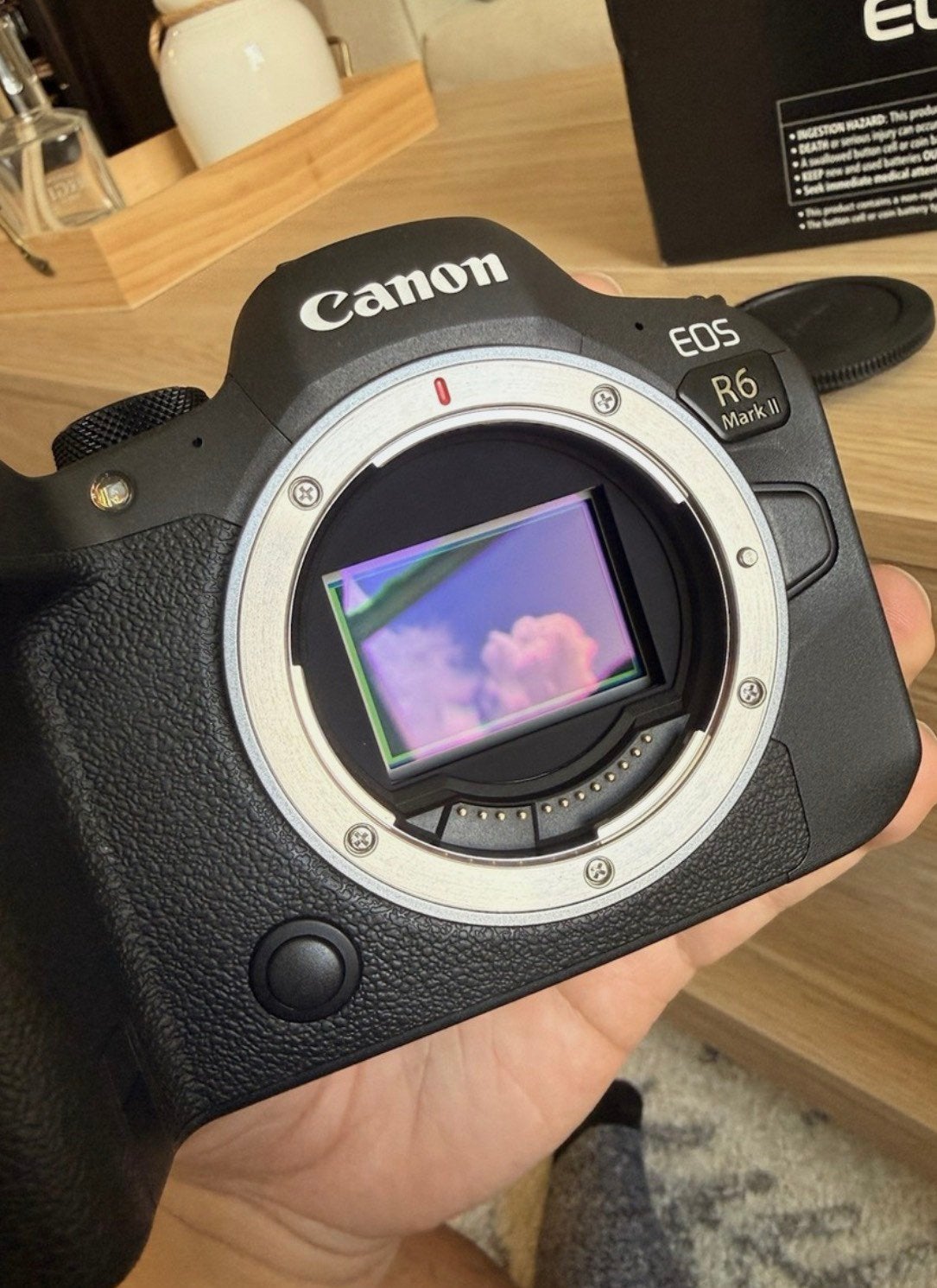 Foto 2 van Canon EOS R6 MARK II