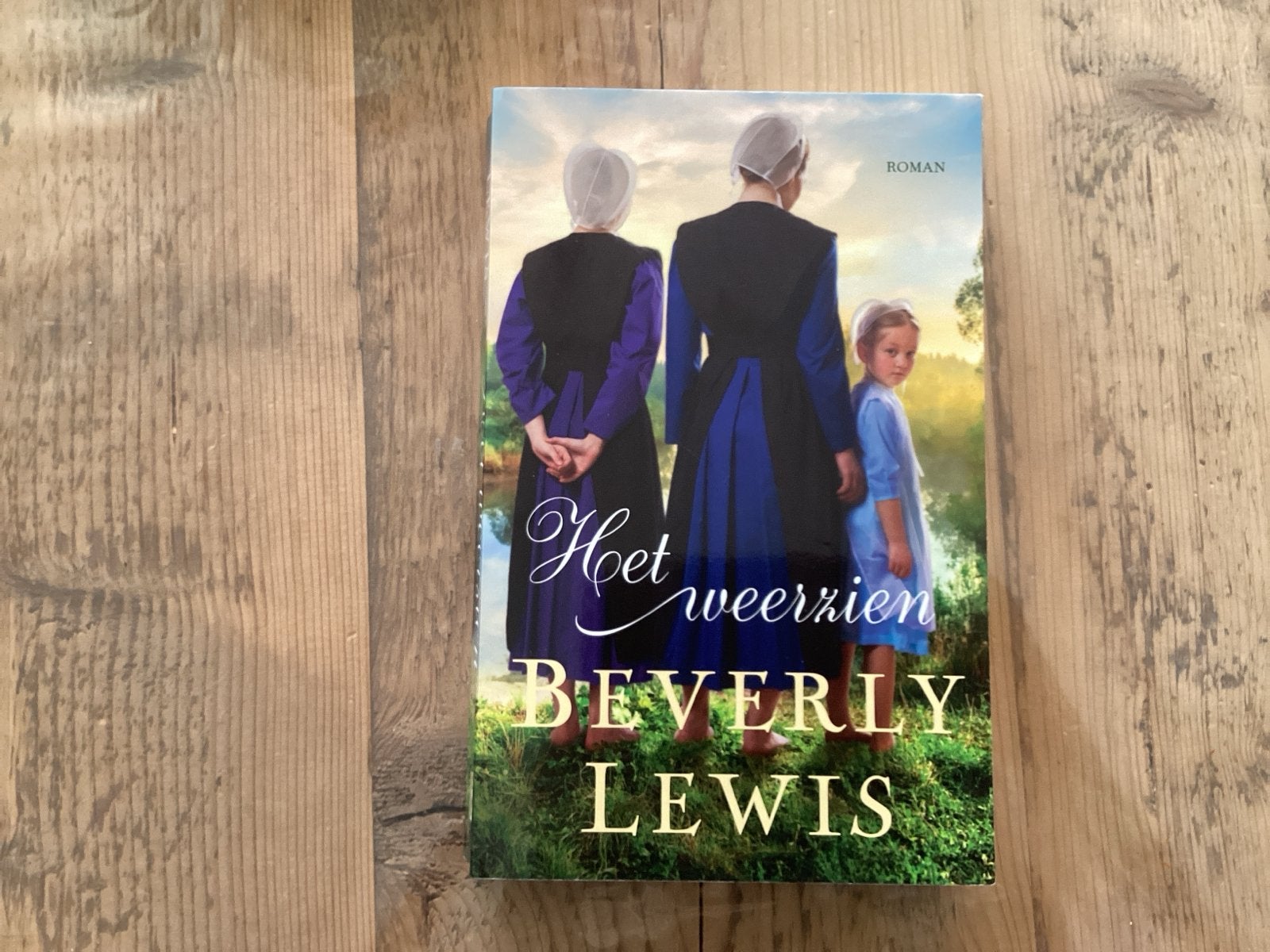 Het weerzien - Beverly Lewis (Roman), Ophalen of Verzenden, Zo goed als nieuw, Amerika