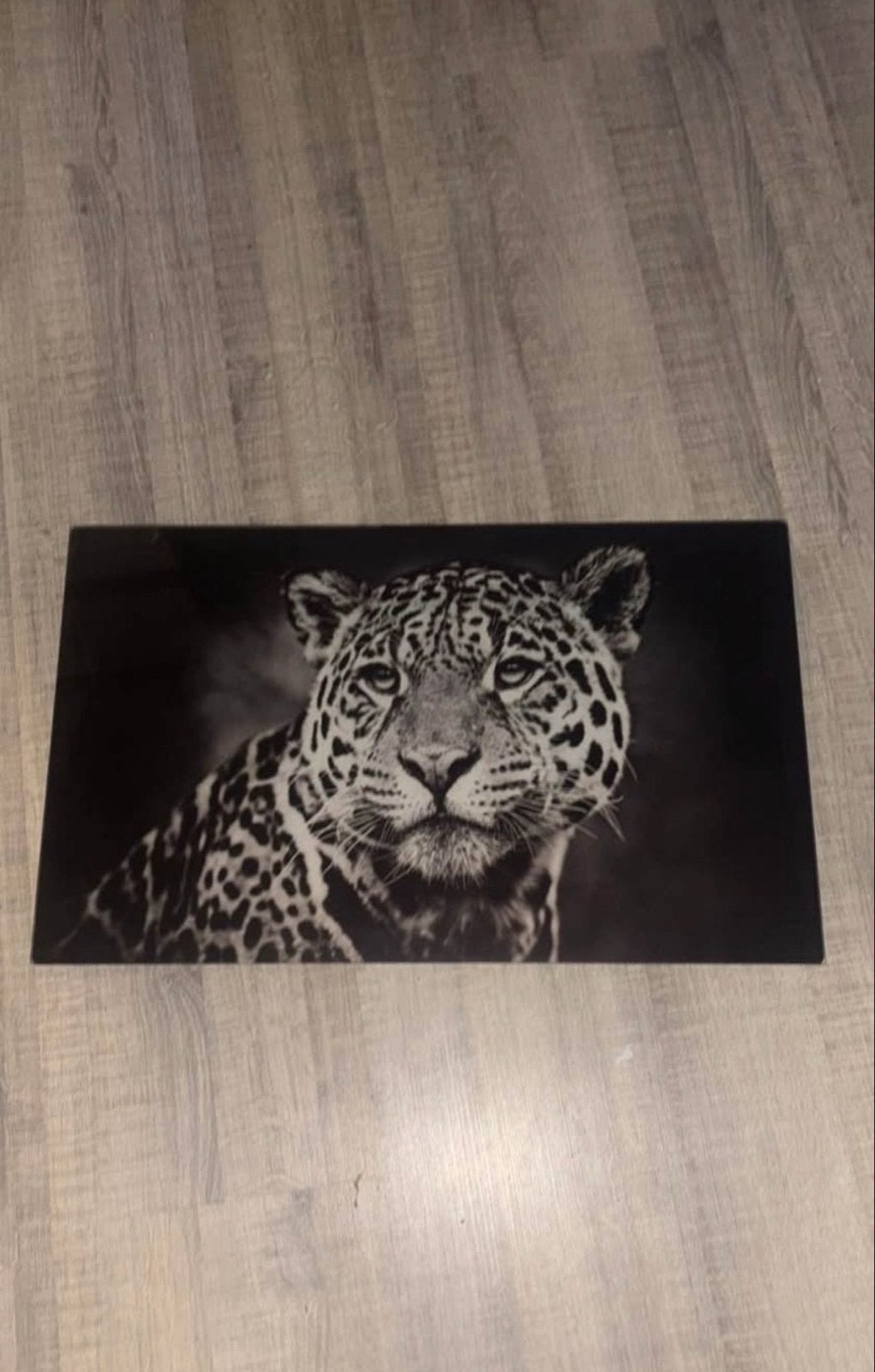 Prachtig Glasschilderij Panter - Zwart-wit, Ophalen, Zo goed als nieuw, 50 tot 75 cm, Schilderij