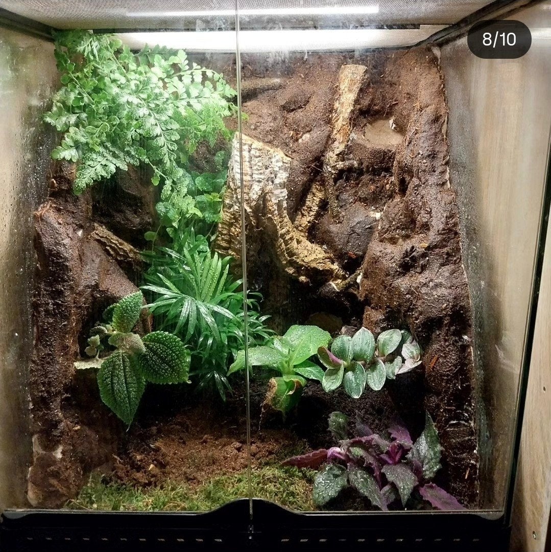 op maat gemaakte terrarium achterwanden reptiel/ amfibie, Dieren en Toebehoren, Ophalen of Verzenden