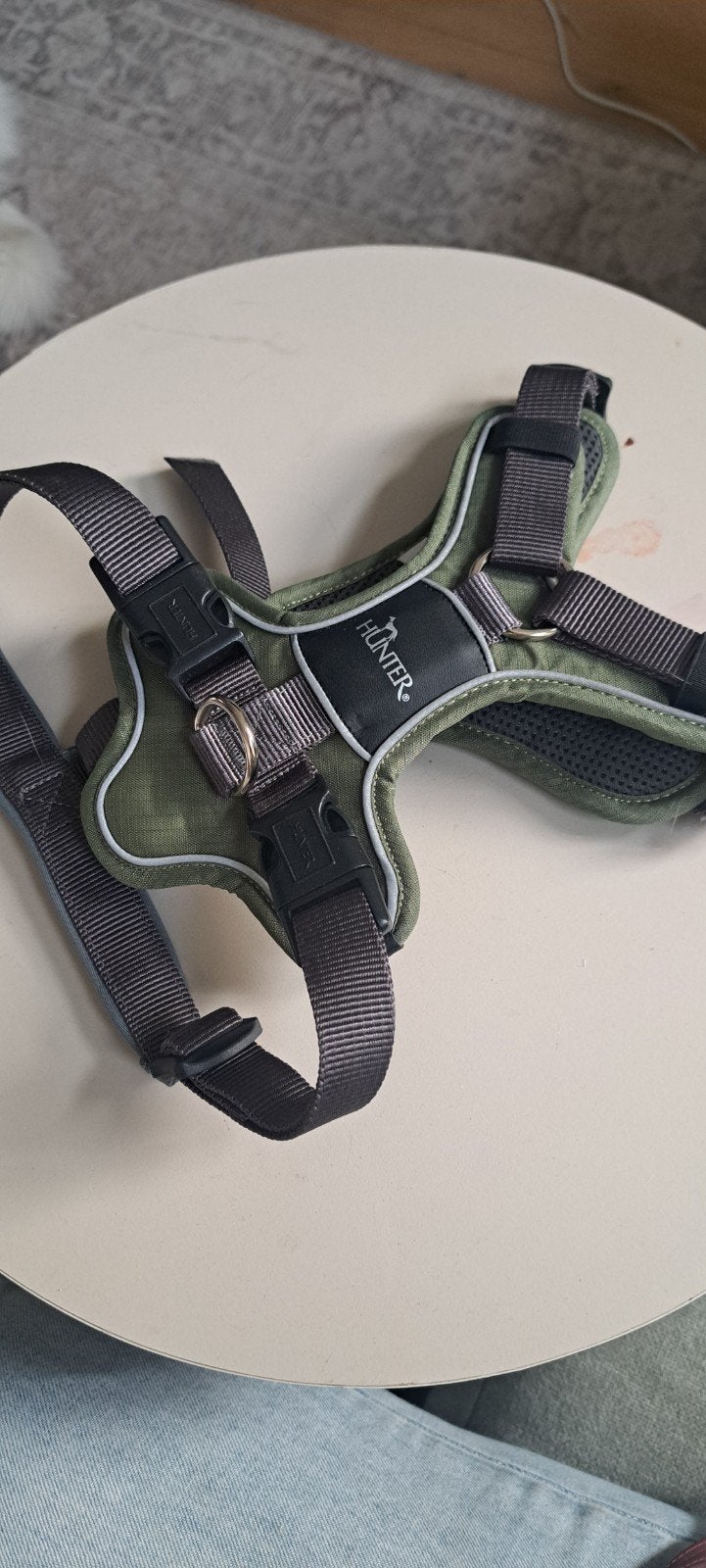 Hondentuigje s/m groen. Nooit gebruikt, nieuw., Ophalen of Verzenden, Nieuw