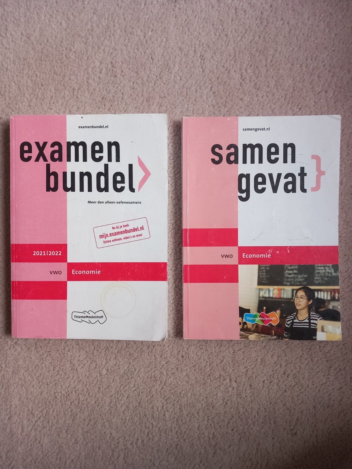 Examenbundel + samengevat economie VWO, Boeken, Schoolboeken, Ophalen of Verzenden, Gelezen, VWO, Economie