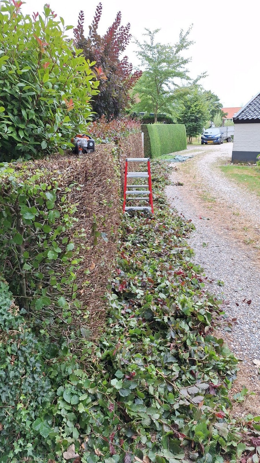 Tuinman hovenier stratenmaker voor al uw tuinklussen!!, 33 - 40 uur, Overige niveaus, Vanaf 10 jaar, Overige vormen