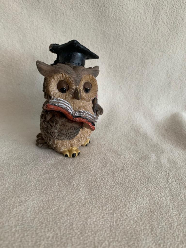 Beeldje van uil met boek en professor hoofddeksel, Ophalen of Verzenden, Zo goed als nieuw, Dier