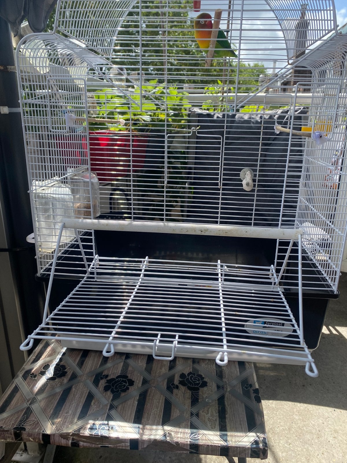 Vogels kooi, Ophalen of Verzenden, Zo goed als nieuw, Metaal, Vogelkooi