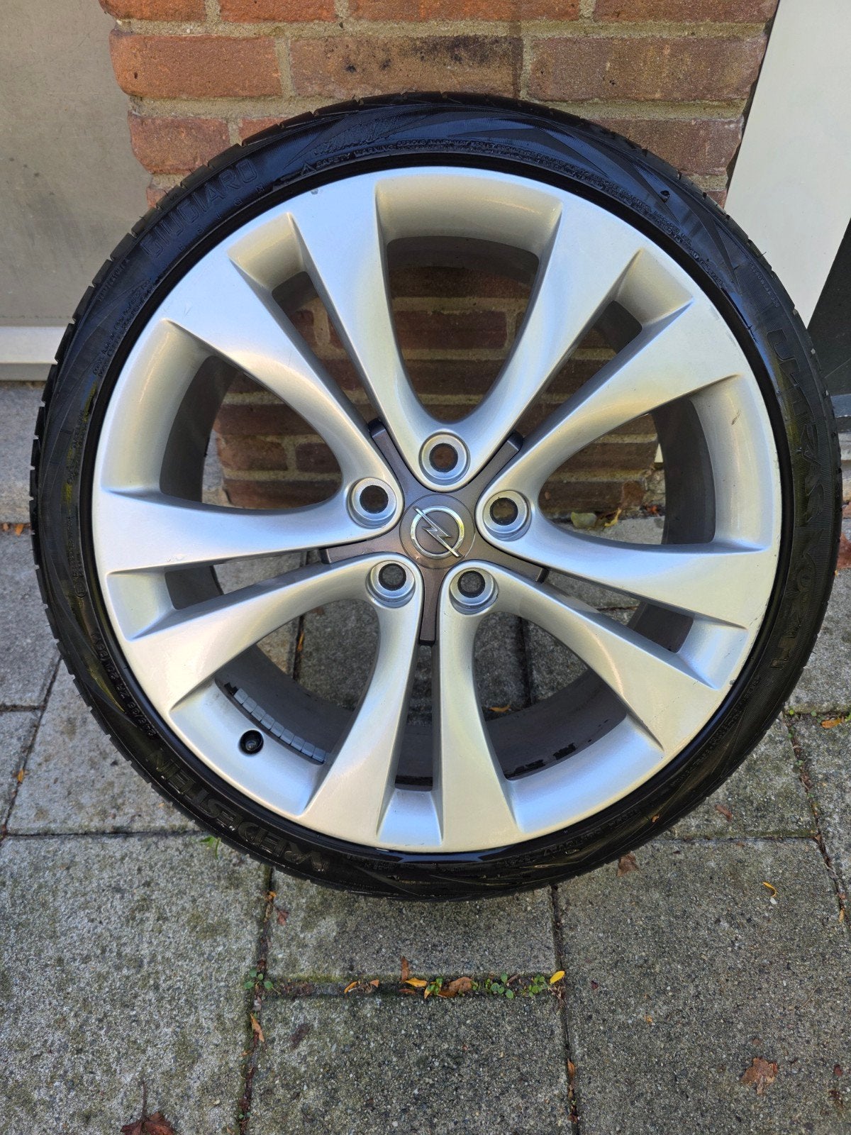 Zeldzame 20 inch Originele Opel Insignia Velgen 5x120, Ophalen, Banden en Velgen, Personenwagen, 20 inch