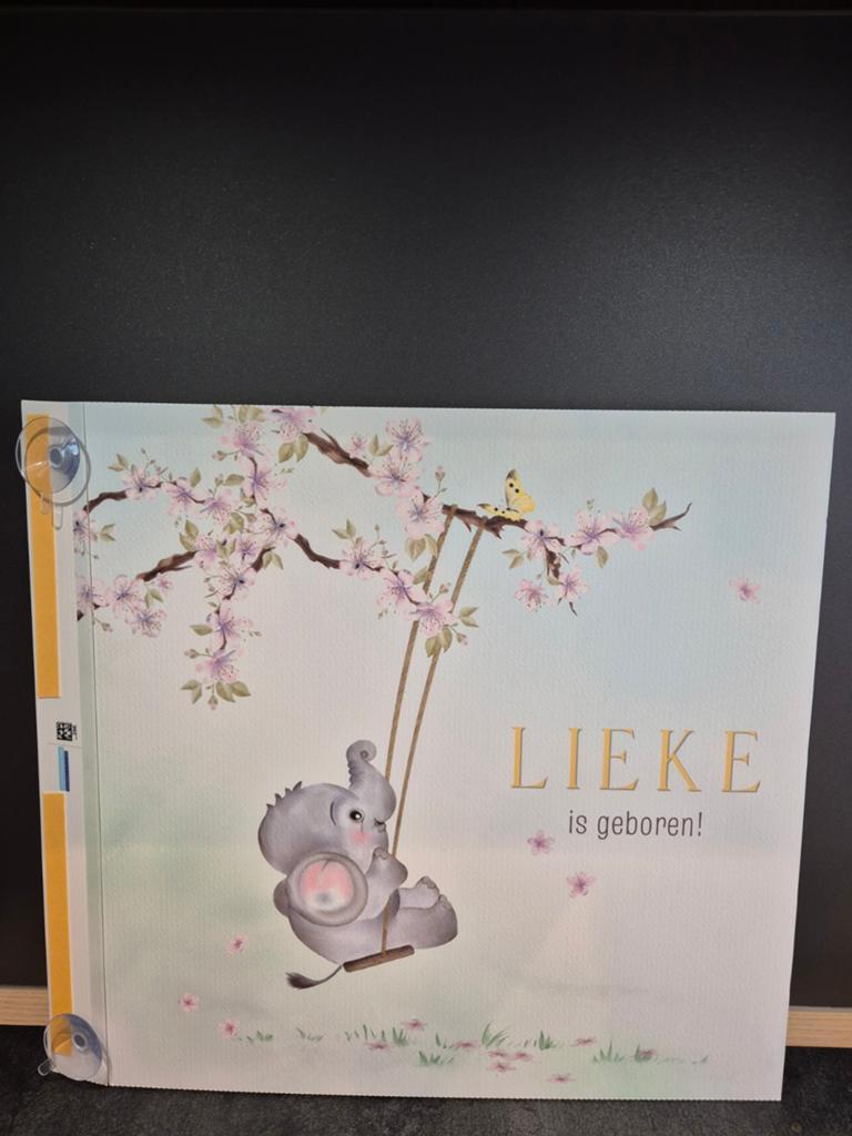 Geboortebord 'Lieke is geboren!' met olifantje, Ophalen of Verzenden, Zo goed als nieuw, Geboortebord