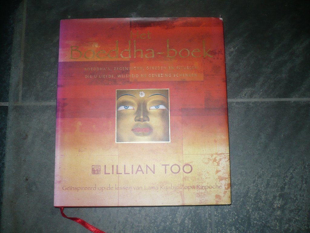 een boeddha boek van lillian too, Boeken, Spiritualiteit algemeen, Ophalen of Verzenden, Zo goed als nieuw, Lilian too