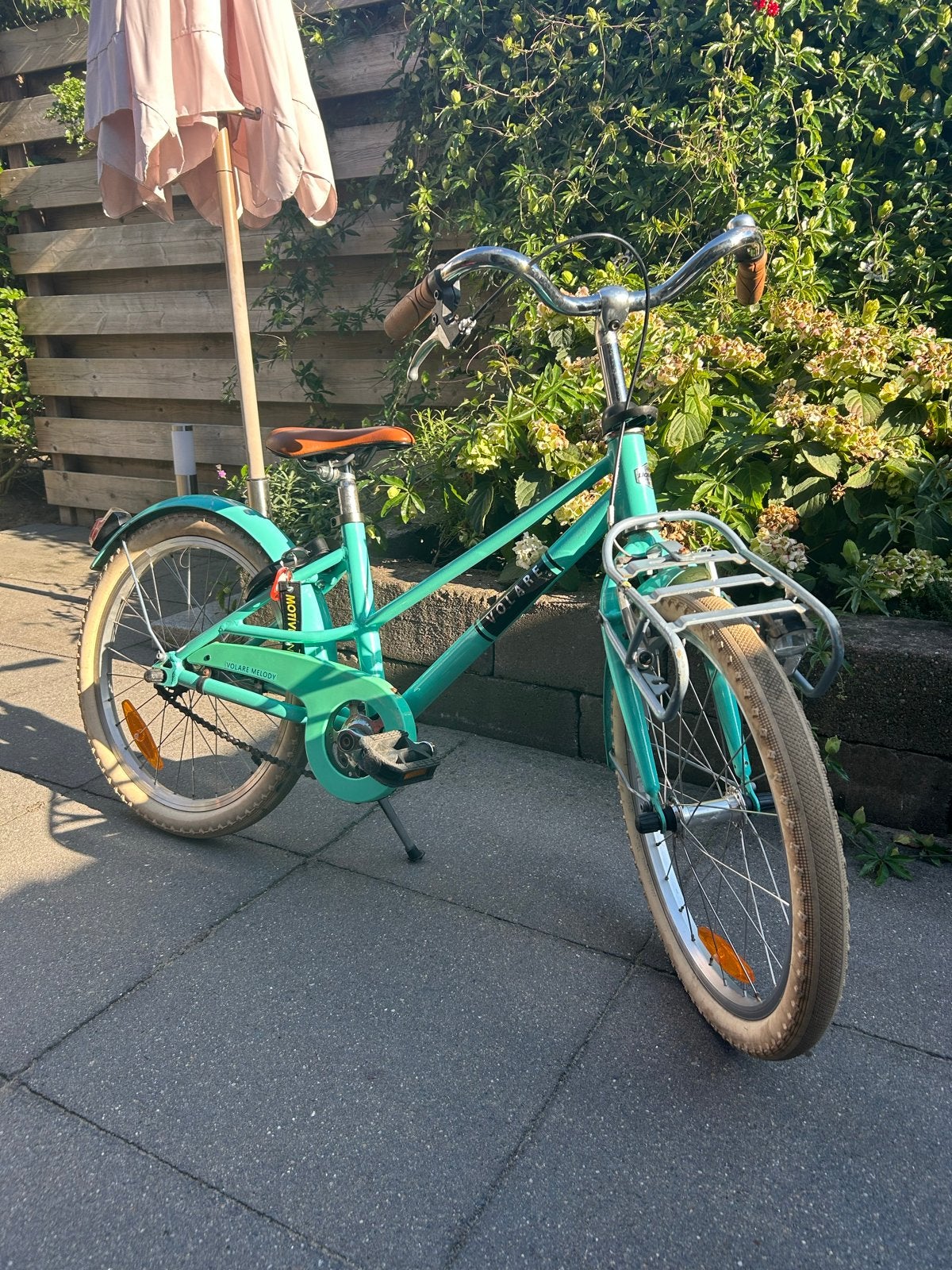 Leuke kinderfiets 20 inch met voordrager., Ophalen, Gebruikt, Terugtraprem, 16 tot 20 inch