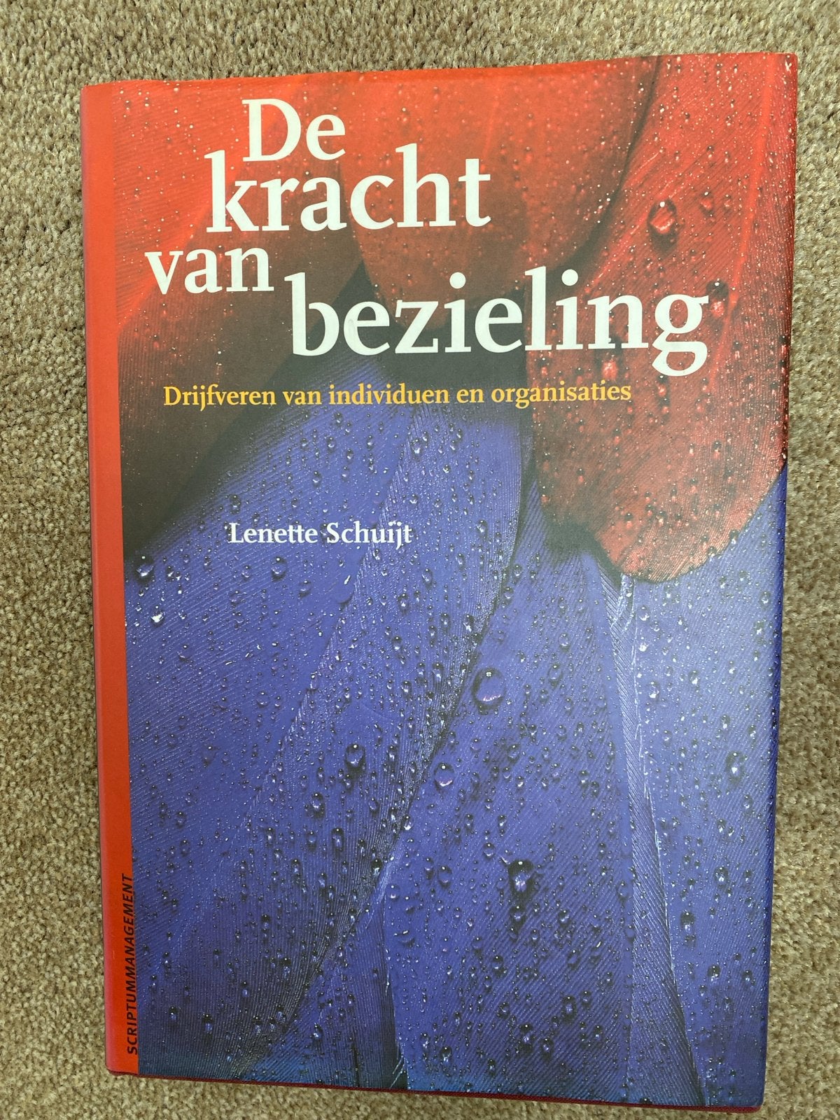 Schuijt-De kracht bezieling Drijfveren van individuen organ, Ophalen of Verzenden, Zo goed als nieuw, Management