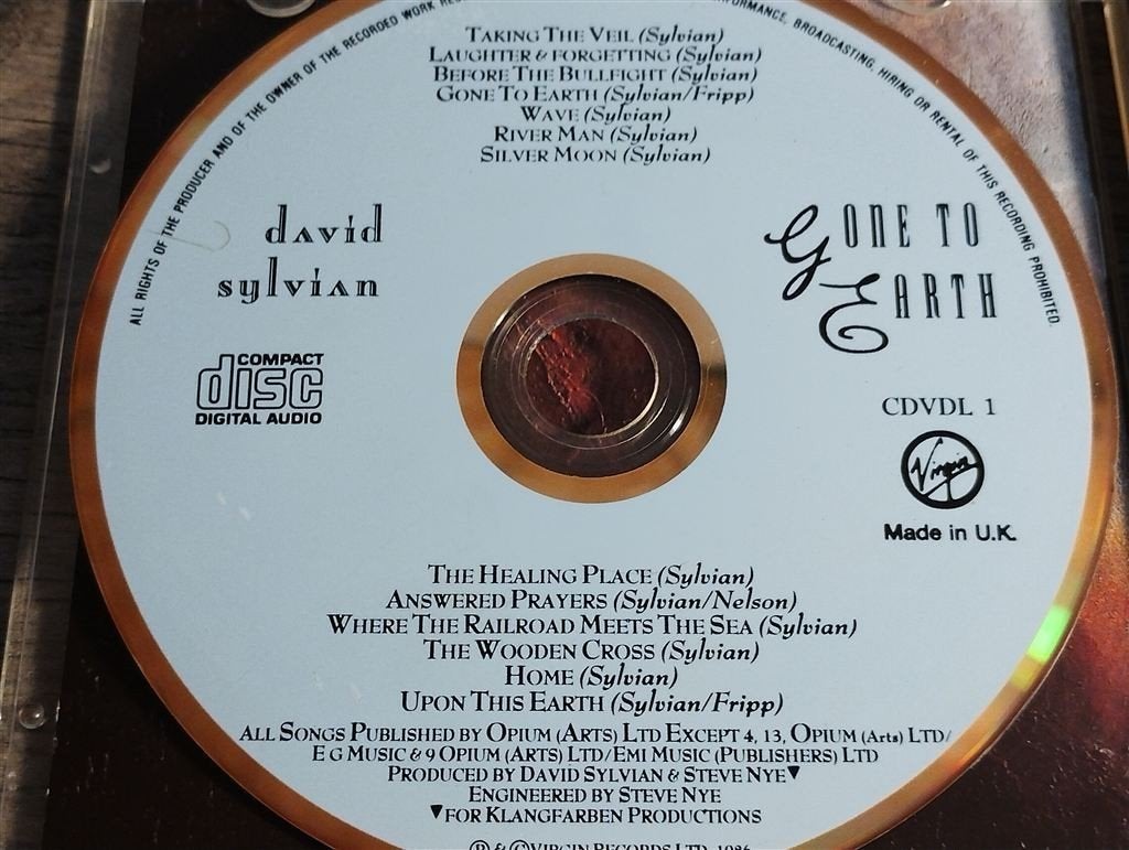 David Sylvian – Gone To Earth, Ophalen of Verzenden, Gebruikt