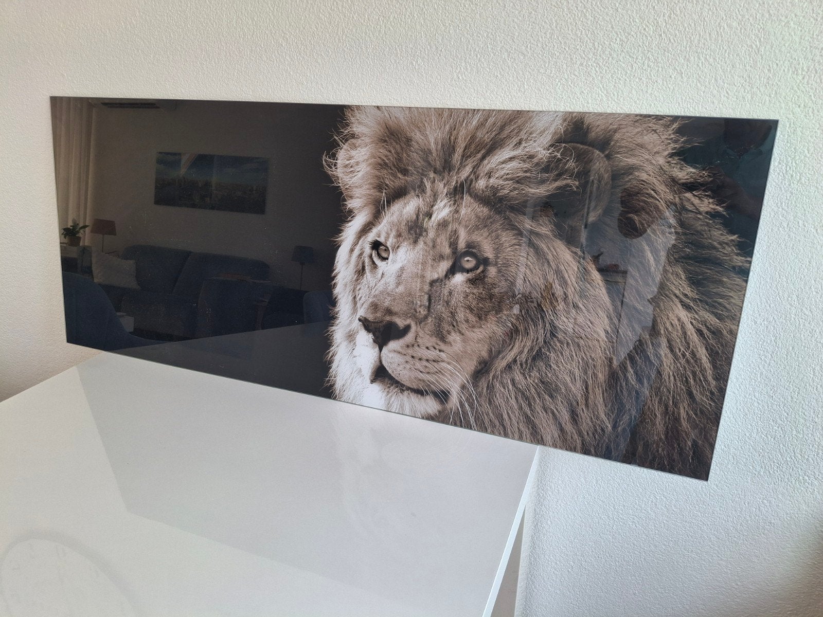 Glasschilderij Leeuw 125x50 cm UV-bestendig, Ophalen, Zo goed als nieuw