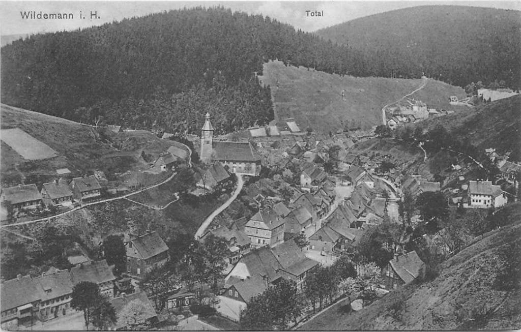 381-116-023 Wildemann Total, Verzenden, Voor 1920, Duitsland
