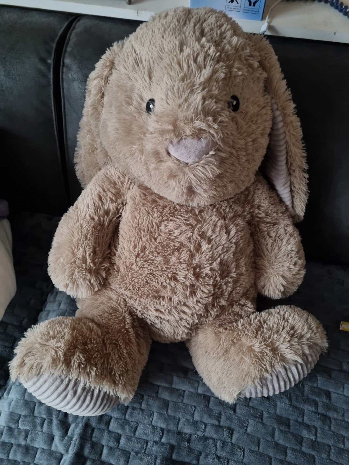 groot knuffel konijn, Ophalen, Konijn