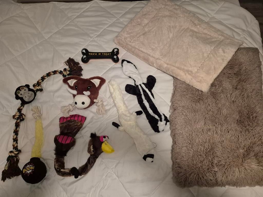 Pakket honden spullen, Ophalen of Verzenden