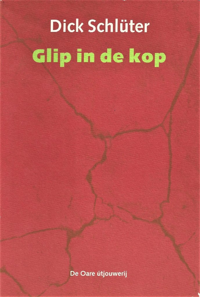 Dick Schlüter - Glip in de kop - Gedichten over Twente, Ophalen of Verzenden, Gelezen, Overijssel