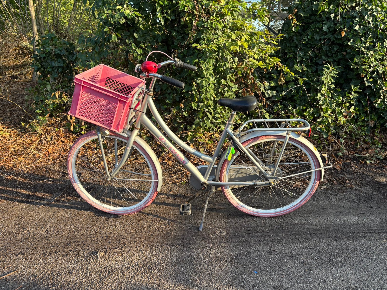 Cortina fiets 26 inch (frame 47cm), Fietsen en Brommers, Fietsen | Meisjes, Terugtraprem, Gebruikt, Versnellingen, Ophalen