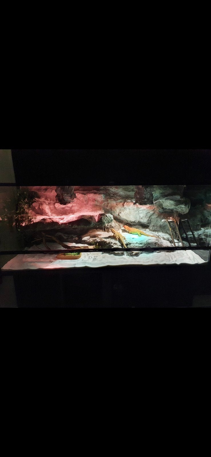 3d terrarium 150 x 60 te koop (gebruikt), Ophalen of Verzenden, Zo goed als nieuw