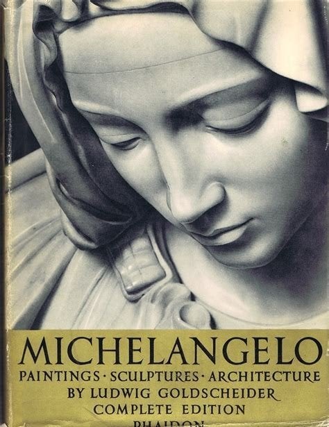 Michelangelo painting sculptures architecture, Ophalen of Verzenden, Zo goed als nieuw, Overige onderwerpen