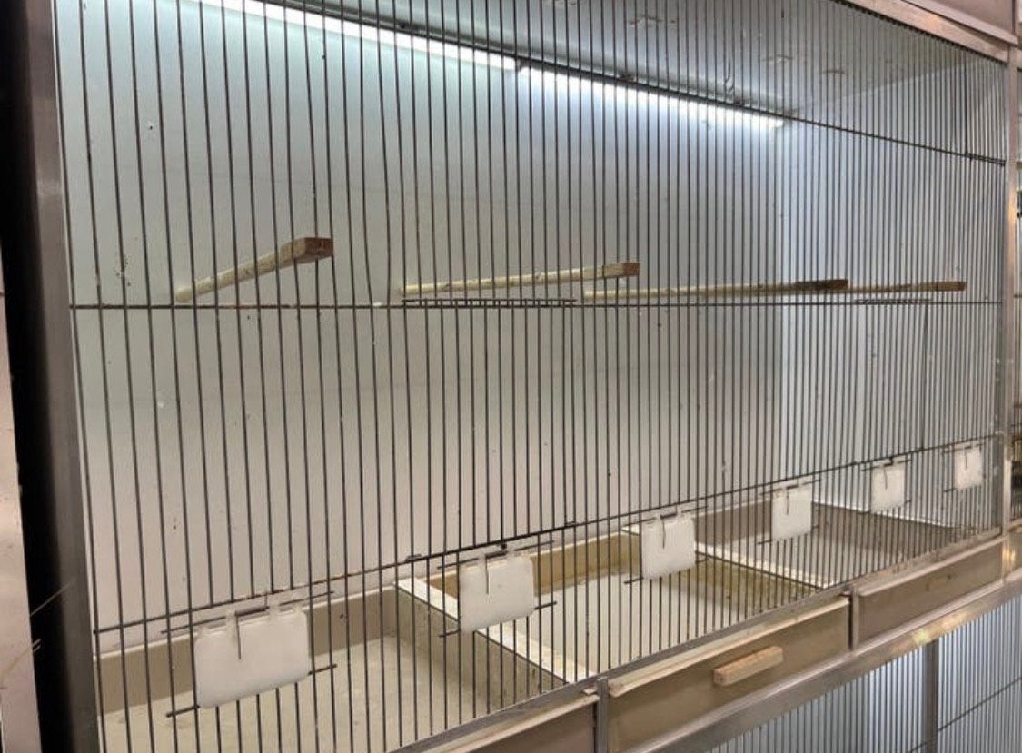 2x uitvliegkooien merk (gehu ), Ophalen, Aluminium, Broedkooi of Kweekkooi