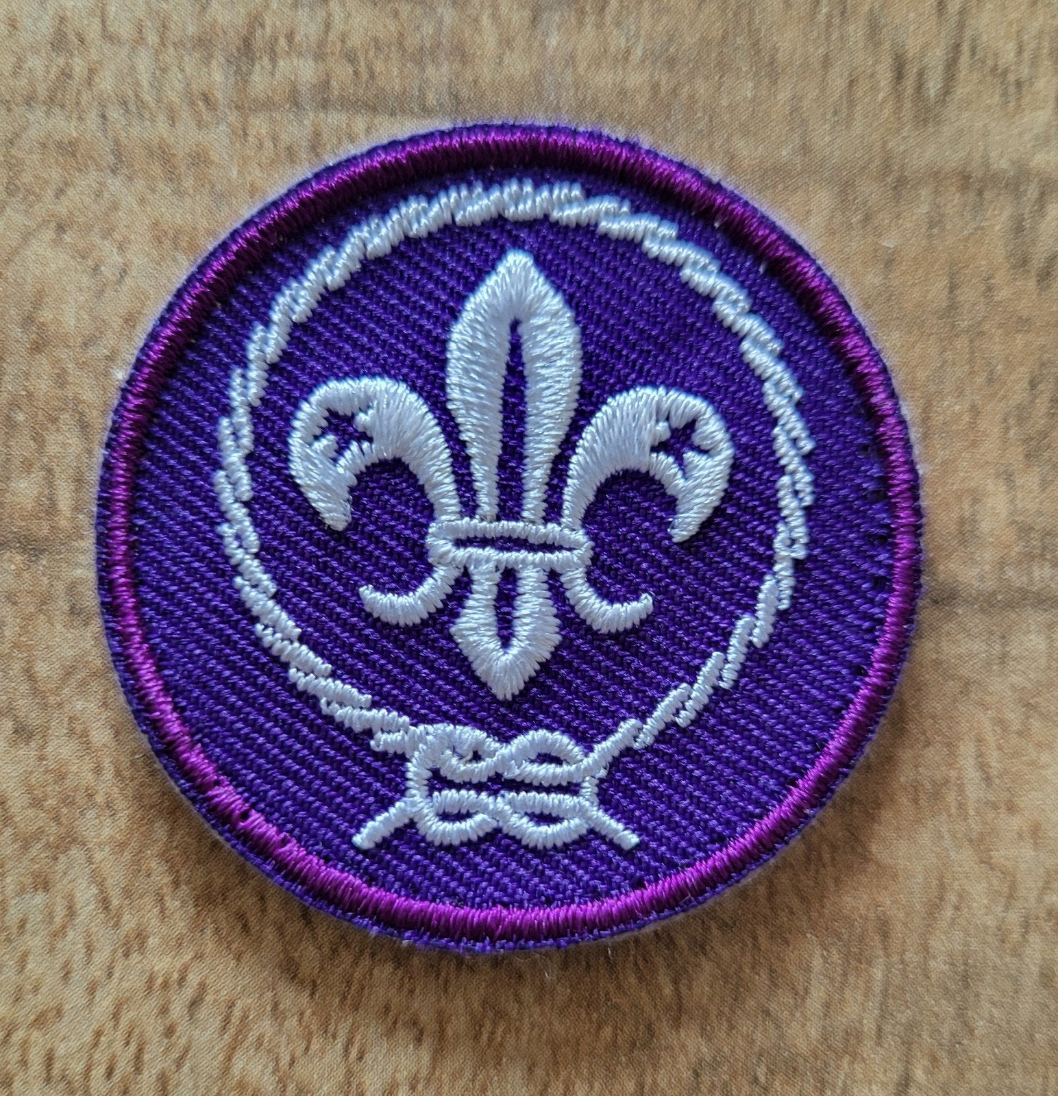 Scouting Insigne Badge WOSM, Verzamelen, Ophalen of Verzenden, Zo goed als nieuw, Embleem, Speld of Insigne