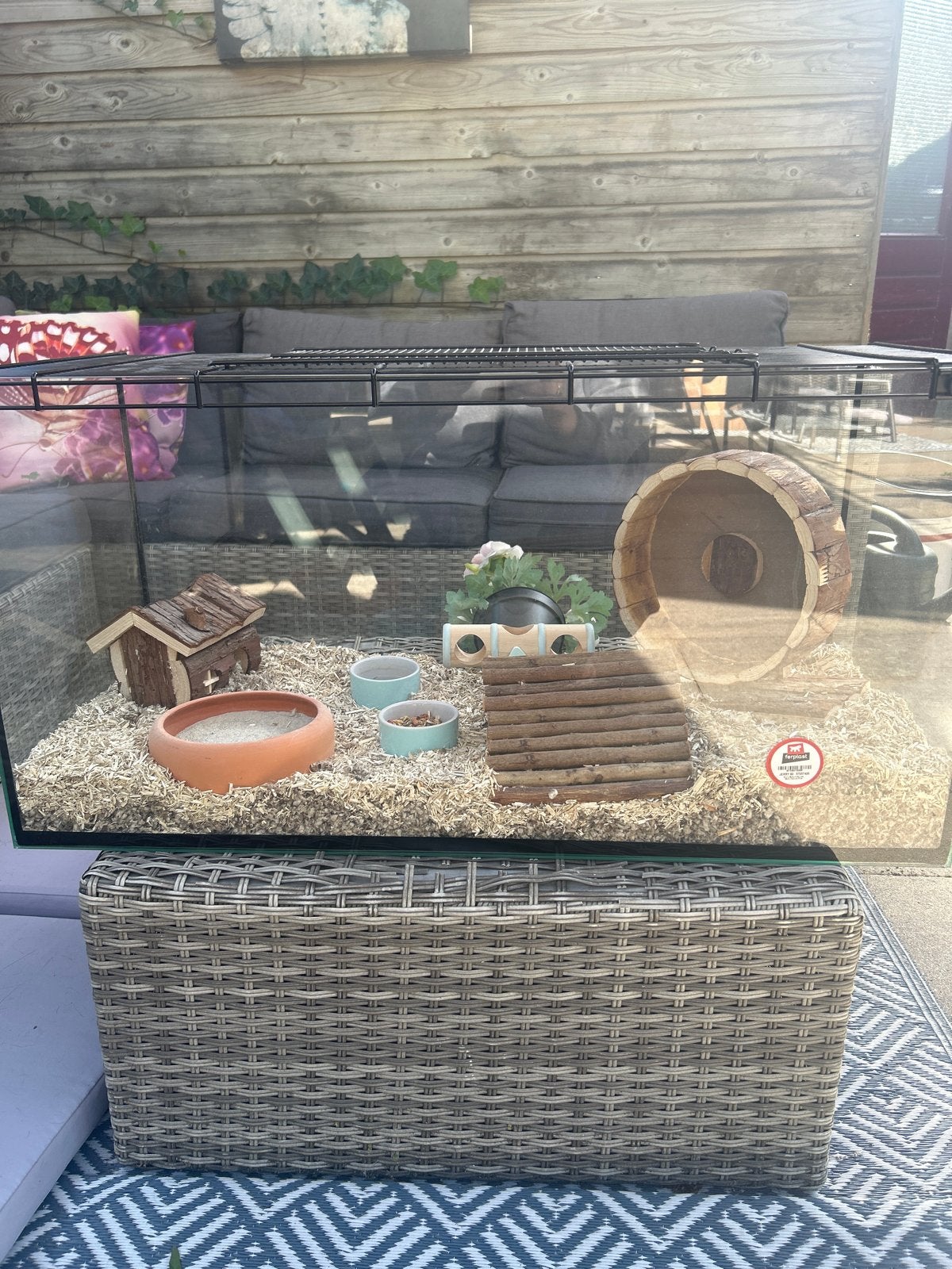 Gratis hamster (kooi tegen betaling), Dieren en Toebehoren, Juli