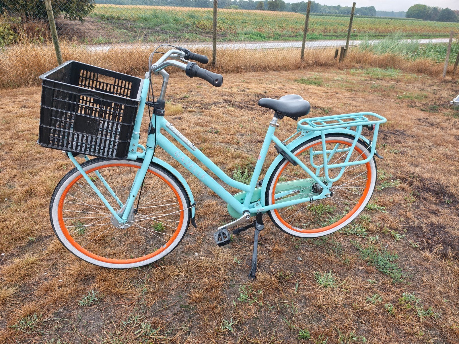 gazelle, Fietsen en Brommers, Ophalen, Terugtraprem, Versnellingen, Gazelle
