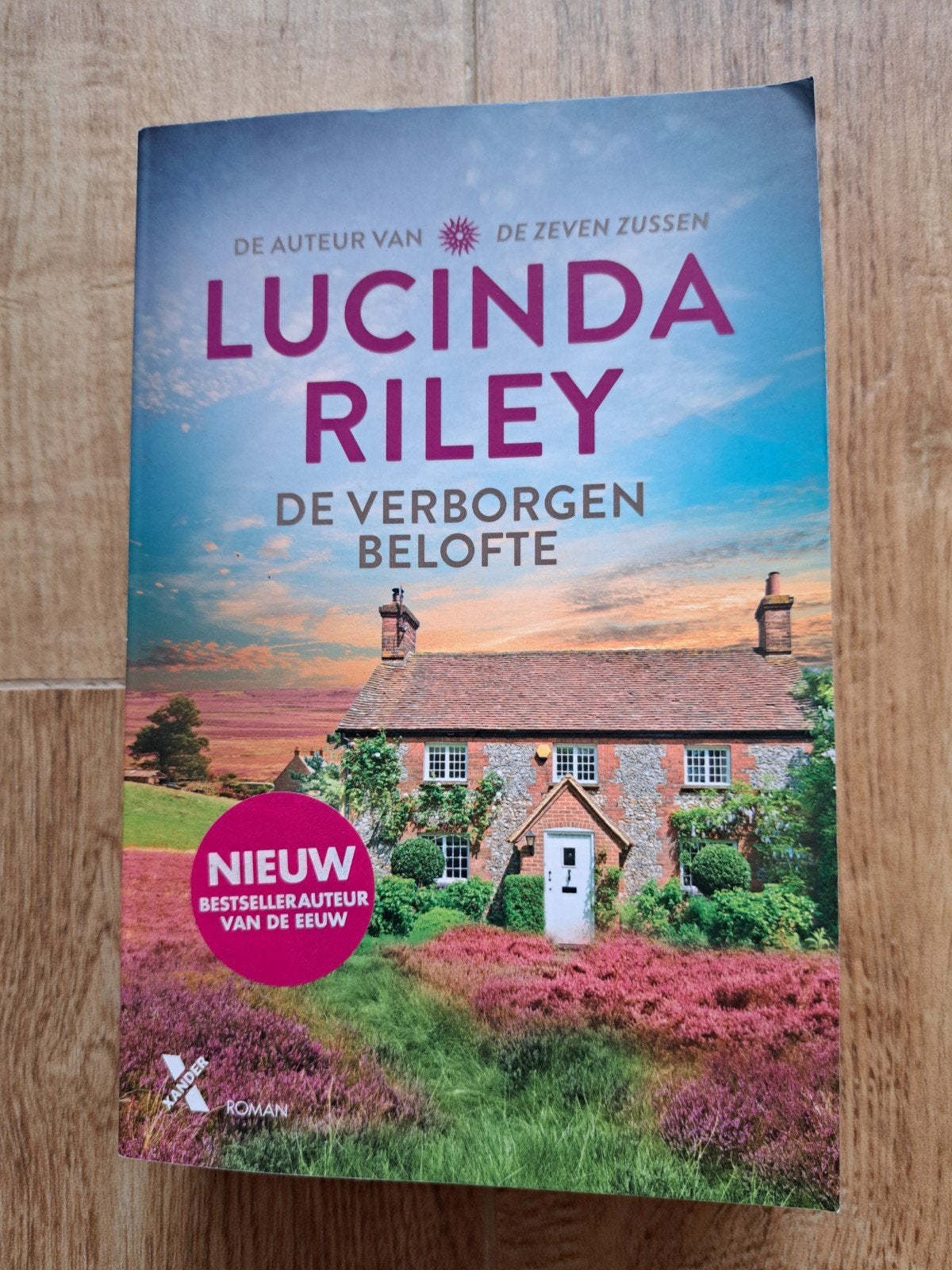 Lucinda Riley - De Verborgen Belofte (Roman), Ophalen of Verzenden, Zo goed als nieuw, Lucinda Riley, Nederland