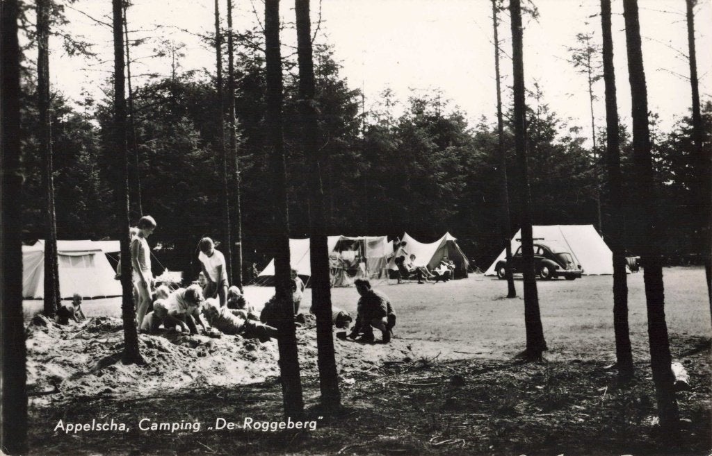 Appelscha Camping De Roggeberg L2828, Ophalen, 1960 tot 1980, Gelopen, Friesland