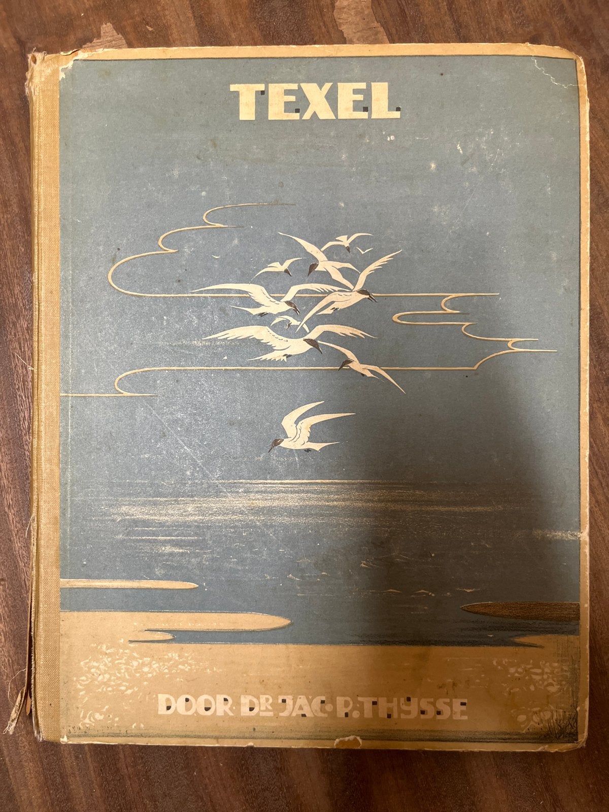 Zeldzaam boek Texel door Jac. P. Thijsse, Ophalen of Verzenden, Gelezen, Natuur algemeen