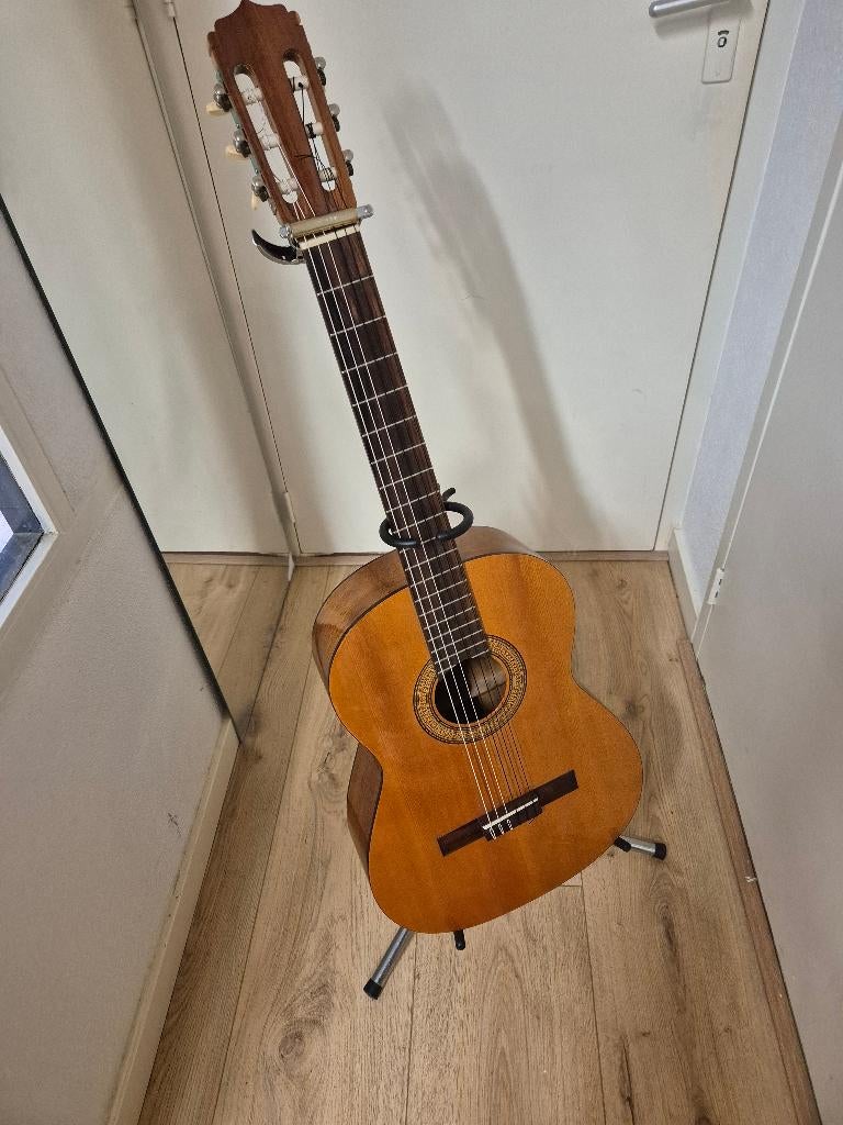 Aria concert Gitaar, Ophalen, Zo goed als nieuw, Klassieke of Spaanse gitaar