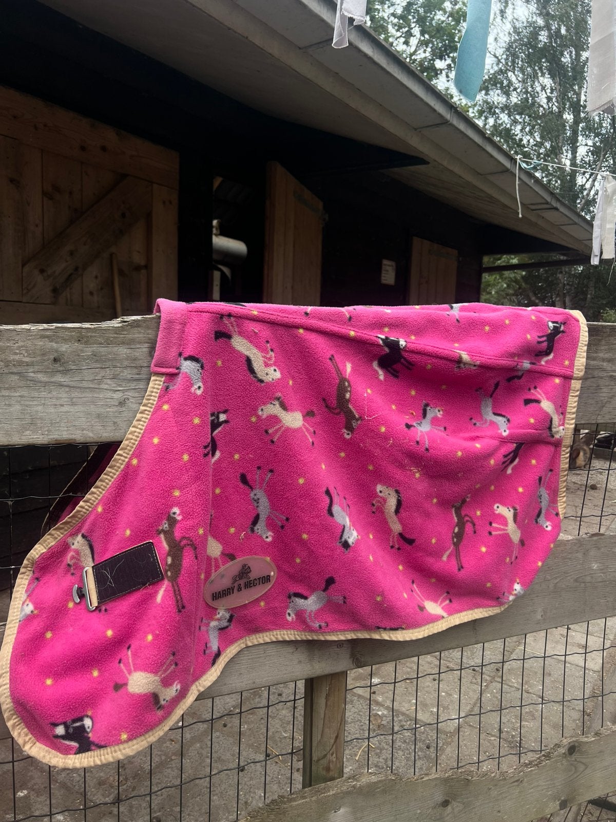 Mini shet fleece deken, Dieren en Toebehoren, Paarden en Pony's | Dekens en Dekjes, Ophalen of Verzenden, Zo goed als nieuw