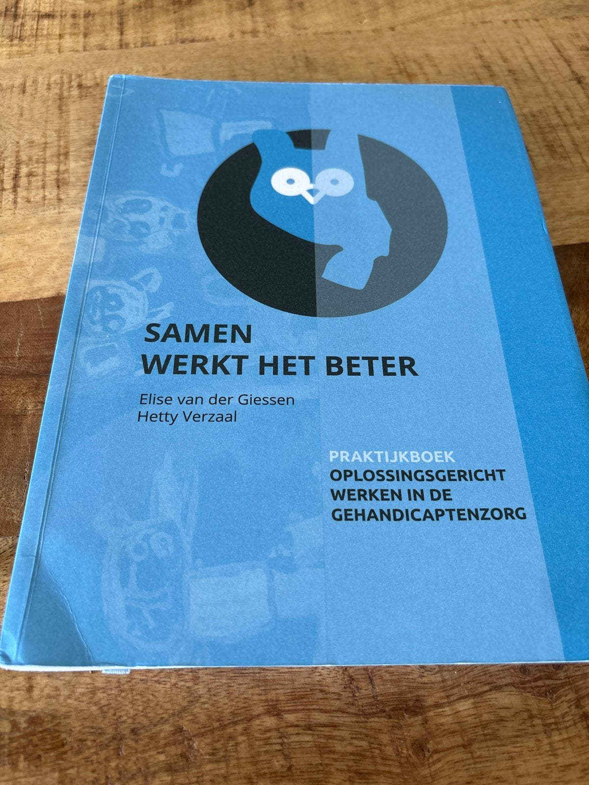 Samen Werkt Het Beter - Praktijkboek Gehandicaptenzorg, Ophalen of Verzenden, Gamma, Zo goed als nieuw, HBO