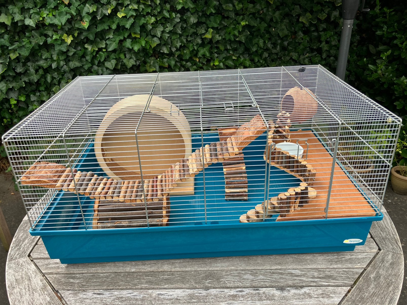 Ruime hamsterkooi Ferplast Mary 80 x 50 x 37,5 cm blauw, Dieren en Toebehoren, Knaagdieren en Konijnen | Hokken en Kooien, Gebruikt