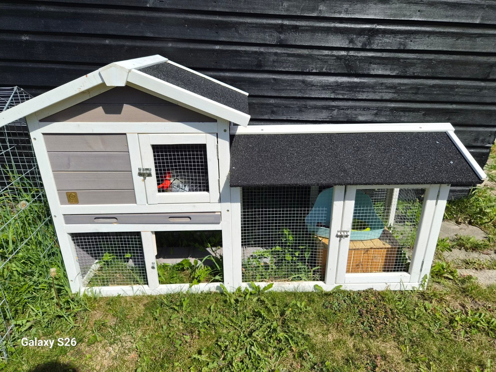 konijnen hok + ren, Dieren en Toebehoren, Ophalen, 110 cm of meer, Hok, Konijn