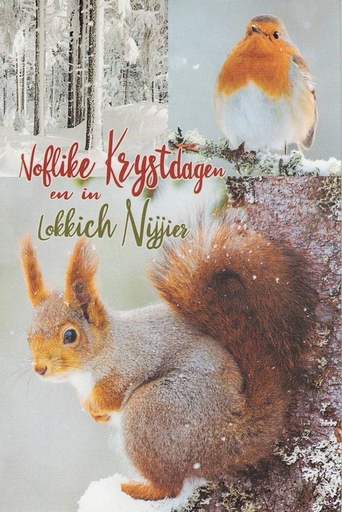 Eekhoorn samen met roodborstje 312, Verzenden, 1980 tot heden, Gelopen, Knaagdier